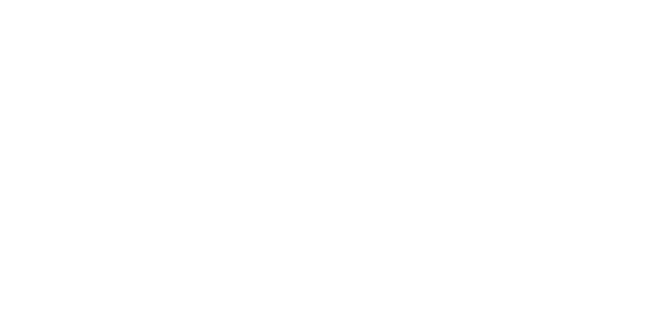 BT Partner